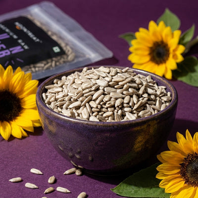 Moontreat Raw Sunflower Seeds – 250 g Pouch